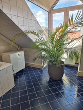 Laden Sie das Bild in den Galerie-Viewer, WASSERGEKUEHLTE KLIMAANLAGE EWA Single Set 1AC050SFE+Wandgerät ISAX-50UI-R32 inkl. WIFI, KLIMAANLAGE OHNE AUSSENGERÄT OHNE BOHRUNG NACH AUSSEN